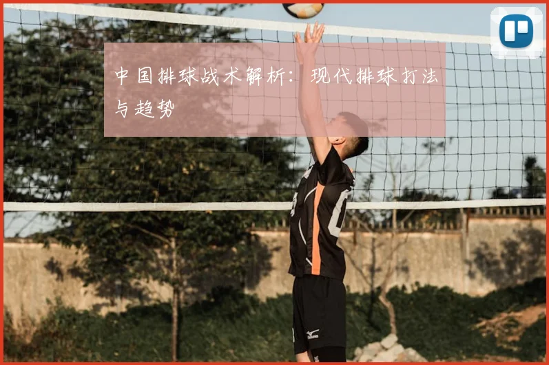 中国排球战术解析:现代排球打法与趋势