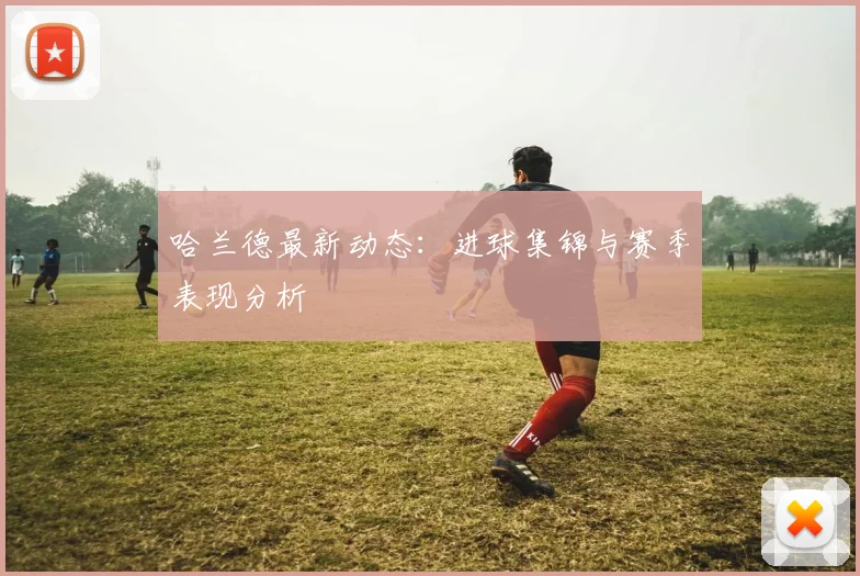 哈兰德最新动态:进球集锦与赛季表现分析